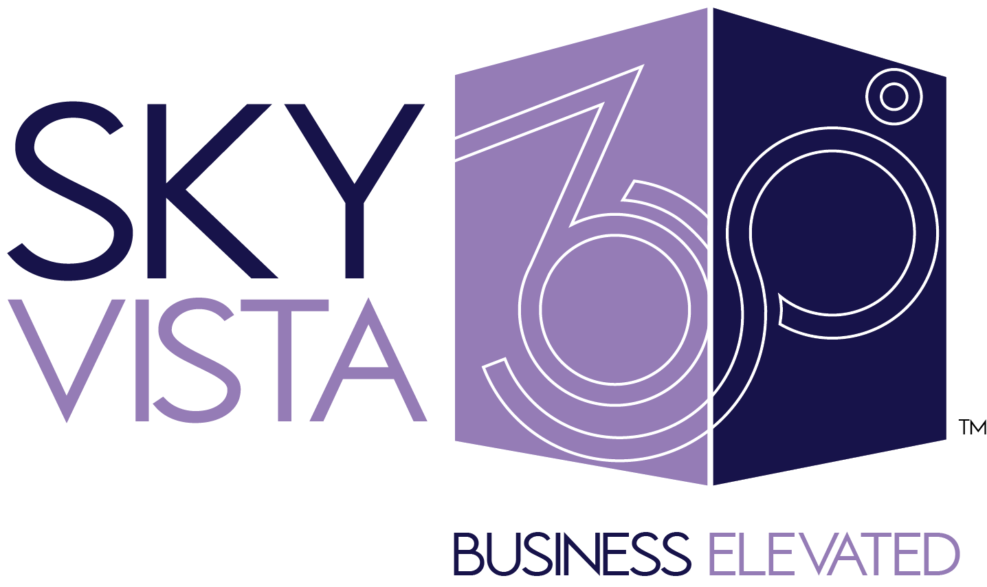 Sky Vista Consulting, LLC