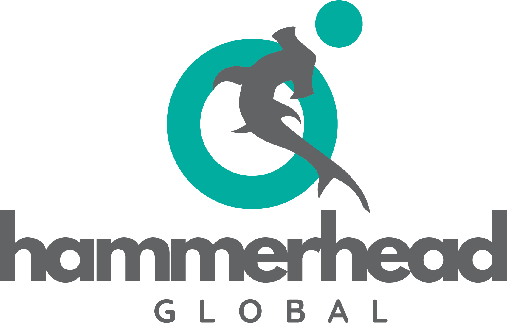 HAMMERHEAD GLOBAL